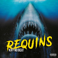 Kiff No Beat - Requins (Explicit)