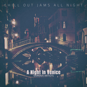 Various Artists - A Night in Venice