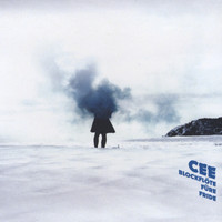 CEE - Blockfloete fuere Fride