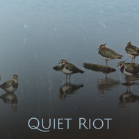 Various Artists - Quiet Riot
