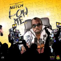 MitchDiSinga - Low Me