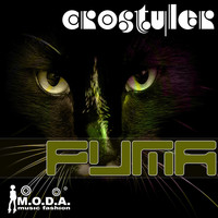 CroStyler - Puma