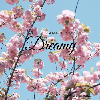 Flight Take Charge - Dreamy (Explicit)