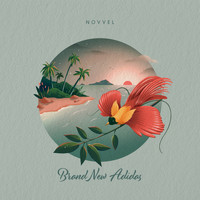 Novvel - Brand New Adidas