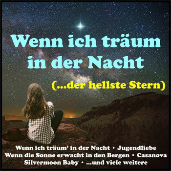 Various Artists - Wenn ich träum in der Nacht (Der hellste Stern)