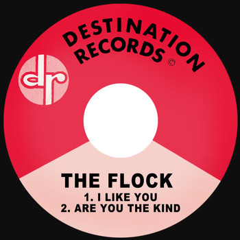 The Flock - I Like You / Are You the Kind