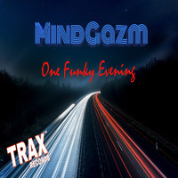MindGazm - ONE FUNKY EVENING