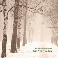 Trio X of Sweden - Veni Veni Emmanuel