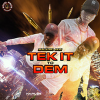 Maestro Don - Tek It to Dem (Radio Edit)
