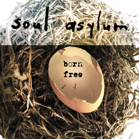 Soul Asylum - Born Free