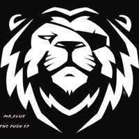 Mr Flux - The Push E.P.