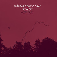 Håkon Kornstad - Oslo (Out of the Loop Edition)
