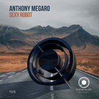 Anthony Megaro - Sexy Robot