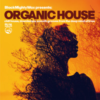 Black Mighty Wax - Organic House (Chill House, Downtempo, Smooth Grooves From The Deep Mind of Irma)