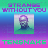 Tensnake feat. Daramola - Strange Without You (Sunnery James & Ryan Marciano Remix)