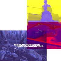 Circuit Hour - Metamorphosis