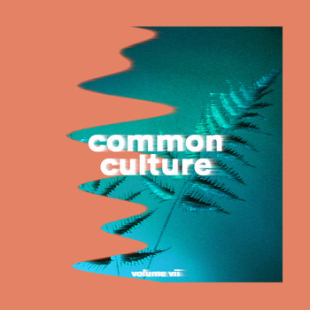 Connor Franta - Common Culture, Vol. VII