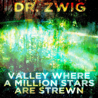 Dr. Zwig - Valley Where a Million Stars Are Strewn