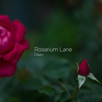 Rosarium Lane - Dawn