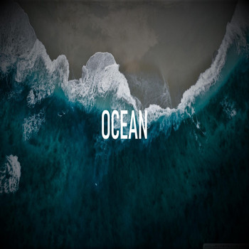 Don'SProduct. - Ocean