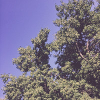 Kin - for_nvr
