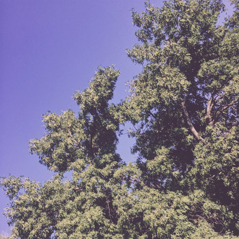 Kin - for_nvr