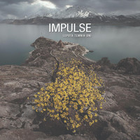 Impulse - Lepota Temnih Dni