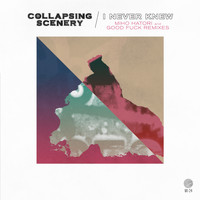 Collapsing Scenery - I Never Knew - Remixes
