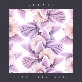 Amparo - Cloud Wrangler