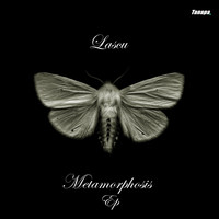 Lascu - Metamorphosis