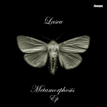 Lascu - Metamorphosis