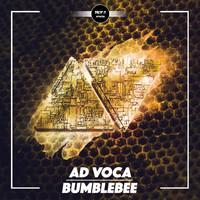 Ad Voca - Bumblebee