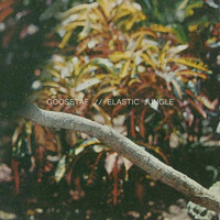 goosetaf - Elastic Jungle