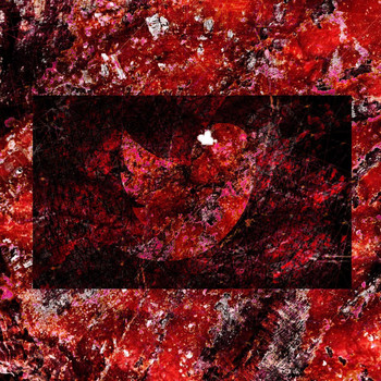 Shepard - i hate twitter (Explicit)