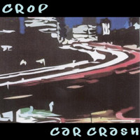 Crop - Car Crash