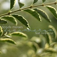 Tico De Moraes - Desarvorar