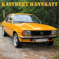Kastrert Hannkatt - Riksvei 3