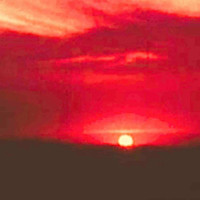 Michel - Solbrud