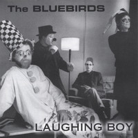 Bluebirds - Laughing Boy