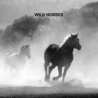 Steve Blame - Wild Horses