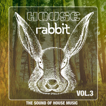 Various Artists - House Rabbit Vol. 3 (The Sound of House Music)