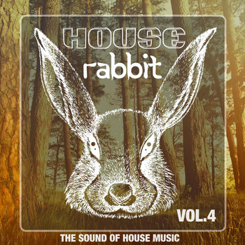 Various Artists - House Rabbit Vol. 4 (The Sound of House Music)