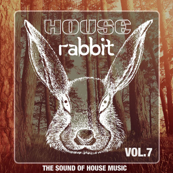 Various Artists - House Rabbit Vol. 7 (The Sound of House Music)