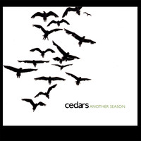 Cedars - Another Season