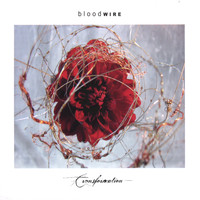 Bloodwire - Transformation
