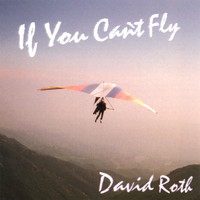 David Roth - If You Can't Fly