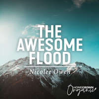 Nicolee Owen - The Awesome Flood