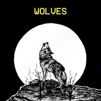 Evan Castle & the Southern Tier - Wolves