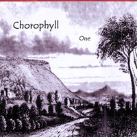 Chlorophyll - One