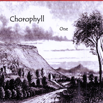 Chlorophyll - One
